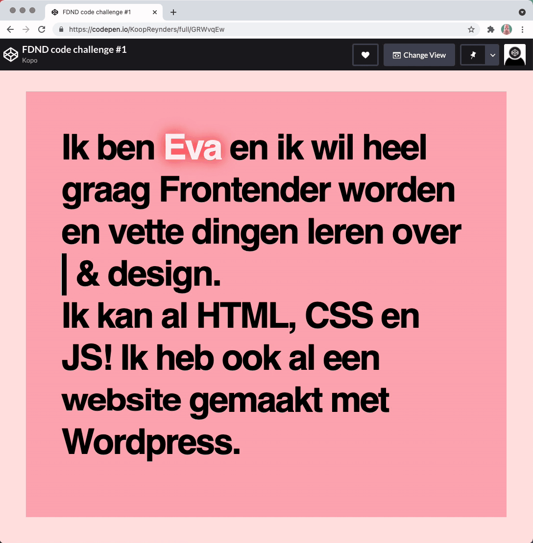 Ik wil een frontender worden...